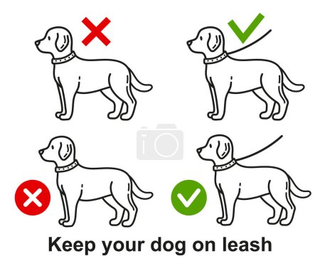 Dog walking with leash allowed, person keep doggy pet on lead in public park zone line icon set. Prohibition canine domestic animal stroll outdoor without collar. Labrador puppy companion training. Warning sign. Outline vector