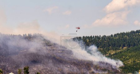 Photo for Firefighting helicopter about to release its water load - Royalty Free Image