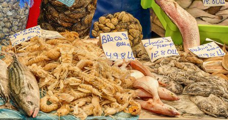 Photo for Image of the Lonja de Cadiz (Spain) in which you can see various types of fish, shellfish and cephalopods, very consumed, typical of this area. - Royalty Free Image