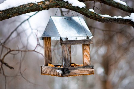 Téléchargez les photos : Salle à manger d'hiver pour oiseaux - en image libre de droit