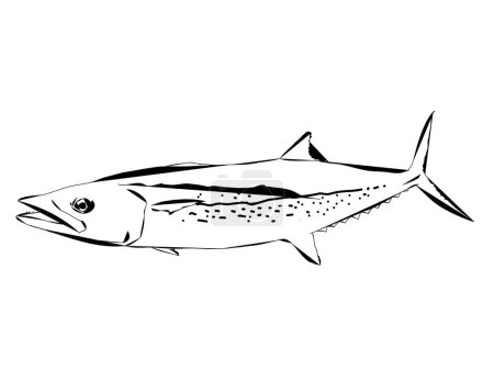 Ilustración de Esquema moderno de un pez de caballa de Cero - Imagen libre de derechos