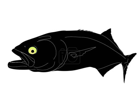Illustration for Silhouette Of A Bluefish With Yellow Eyes - Royalty Free Image