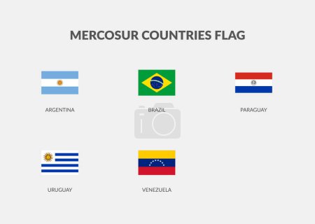 Illustration for Mercosur Countries Rectangle flag icon set. - Royalty Free Image