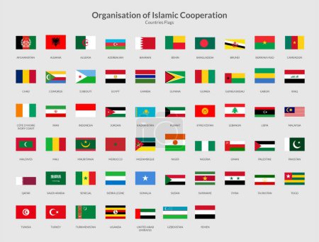 Illustration for OIC Countries Rectangle flag icon - Royalty Free Image