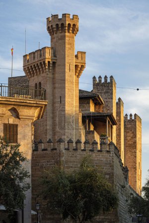 Téléchargez les photos : Royal Palace of La Almudaina, national heritage, Mallorca, balearic islands, Spain - en image libre de droit