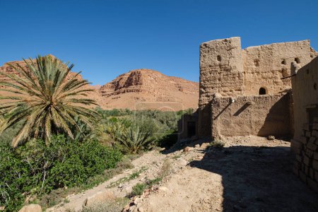 Téléchargez les photos : Mud and adobe architecture, Ifri kasbah, Ziz river valley, Atlas mountains,  Morocco, Africa - en image libre de droit
