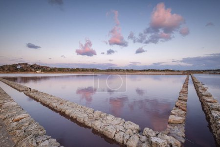 Téléchargez les photos : Parc Naturel de Ses Salines d Eivissa i Formentera, Formentera, Îles Pitiusas, Communauté Baléare, Espagne - en image libre de droit