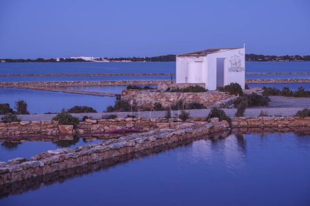 Téléchargez les photos : Parc Naturel de Ses Salines d Eivissa i Formentera, Formentera, Îles Pitiusas, Communauté Baléare, Espagne - en image libre de droit