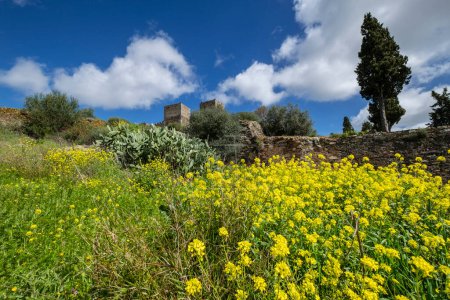 Téléchargez les photos : Château de Monsaraz, Monument National, Monsaraz, district d'evora, Alentejo, Portugal - en image libre de droit