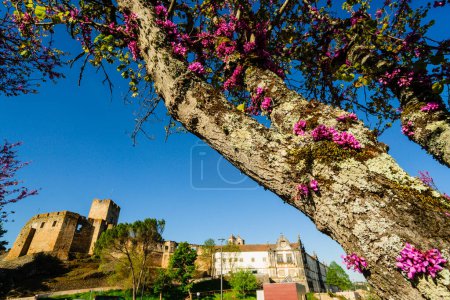 Foto de Castillo Templario de Tomar,  1162, Monumento nacional,Tomar, Distrito de Santarem, Medio Tejo, region centro, Portugal, europa - Imagen libre de derechos