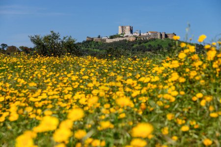 Téléchargez les photos : Campo florido y Castillo, Evoramonte ( Concejo de Estremoz), Alentejo, Portugal, Europe - en image libre de droit