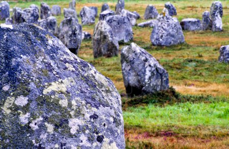 Foto de Megalithic alignment of Carnac-Kermario. Morbihan. Brittany.France. - Imagen libre de derechos