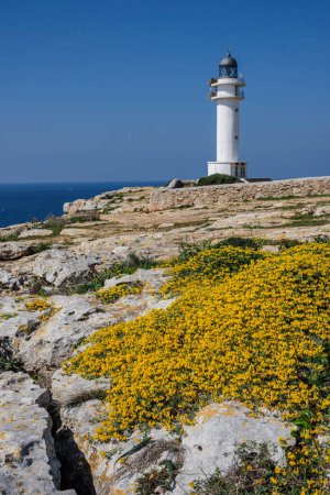 Photo for Cap Barbaria lighthouse, Formentera, Pitiusas Islands, Balearic Community, Spain - Royalty Free Image