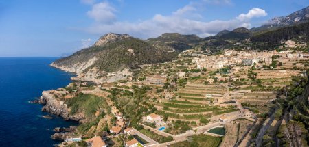 Foto de Terrazas de cultivo, Banyalbufar, Mallorca, Islas Baleares, España - Imagen libre de derechos
