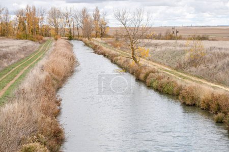 Foto de Canal de Castilla, Capillas, provincia de Palencia, España - Imagen libre de derechos