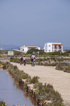Téléchargez les photos : Balade à vélo en famille, La Savina, Formentera, Îles Pitiusas, Communauté Baléare, Espagne - en image libre de droit