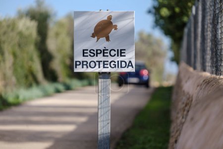 Téléchargez les photos : Avertissement pour la protection de la tortue huppée, Llucmajor, Majorque, Îles Baléares, Espagne - en image libre de droit