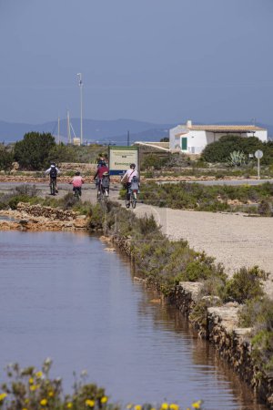 Téléchargez les photos : Balade à vélo en famille, La Savina, Formentera, Îles Pitiusas, Communauté Baléare, Espagne - en image libre de droit