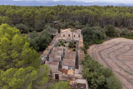 Téléchargez les photos : Cimetière de Pina, Majorque, Îles Baléares, Espagne - en image libre de droit