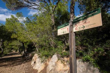 Téléchargez les photos : Route Na Miranda, Parc naturel de Sa Dragonera, Majorque, Îles Baléares, Espagne - en image libre de droit