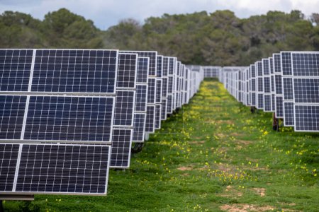 Photo for Sa Caseta Parc Fotovoltaic, solar energy plates, Llucmajor, Mallorca, Balearic Islands, Spain - Royalty Free Image