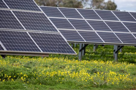 Téléchargez les photos : Sa Caseta Parc Fotovoltaique, plaques solaires, Llucmajor, Majorque, Îles Baléares, Espagne - en image libre de droit