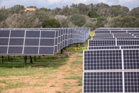 Photo for Sa Caseta Parc Fotovoltaic, solar energy plates, Llucmajor, Mallorca, Balearic Islands, Spain - Royalty Free Image