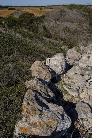 Téléchargez les photos : Punta des Baus vestiges de la colonie talayotique, Santanyi, Majorque, Îles Baléares, Espagne - en image libre de droit