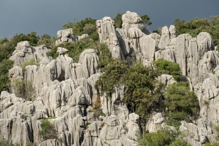 Téléchargez les photos : Sanctuaire géologique du karst, Bosc de Ses Monges, Lluc, Escorca, Majorque, Îles Baléares, Espagne - en image libre de droit