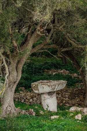 Téléchargez les photos : Torrellafuda, Taula shrine-enclosure,  Talayotic town, Ciutadella, Menorca, Balearic Islands, Spain - en image libre de droit