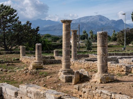 Téléchargez les photos : Roman city of Pollentia, Alcudia, Mallorca, Balearic Islands, Spain - en image libre de droit