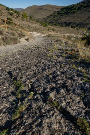 Foto de Huellas de dinosaurio, yacimiento de Valdecevillo, Enciso, La Rioja, España, Europa - Imagen libre de derechos