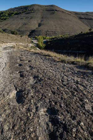 Foto de Huellas de dinosaurio, yacimiento de Valdecevillo, Enciso, La Rioja, España, Europa - Imagen libre de derechos