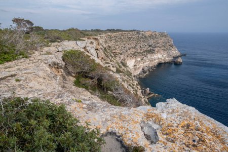 Téléchargez les photos : Cap Blanc, côte sud de Majorque, Îles Baléares, Espagne - en image libre de droit