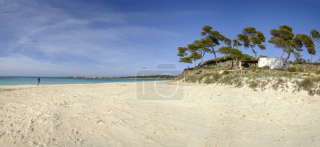 Es Carbo Strand, einsamer Mann läuft auf jungfräulichen Sandstrand, Ses Salines, Mallorca, Balearen, Spanien
