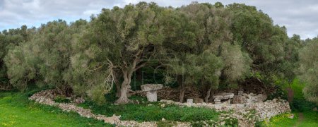 Photo for Torrellafuda, Taula shrine-enclosure,  Talayotic town, Ciutadella, Menorca, Balearic Islands, Spain - Royalty Free Image