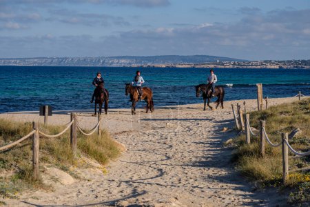 Foto de Playa de Llevant, a caballo, Formentera, Islas Pitiusas, Comunidad Baleares, España - Imagen libre de derechos