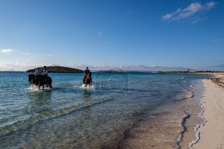 Foto de Illetes beach, equitación, Formentera, Islas Pitiusas, Comunidad Baleares, España - Imagen libre de derechos