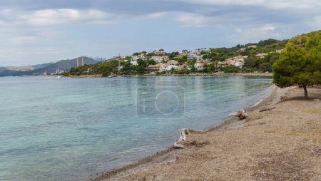 Photo for Beach and island of Alcanada, Alcudia, - Royalty Free Image