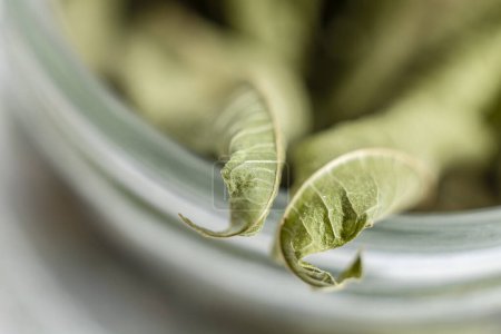 Photo for Dried leaves of Aloysia citrodora,  lemon verbena - Royalty Free Image