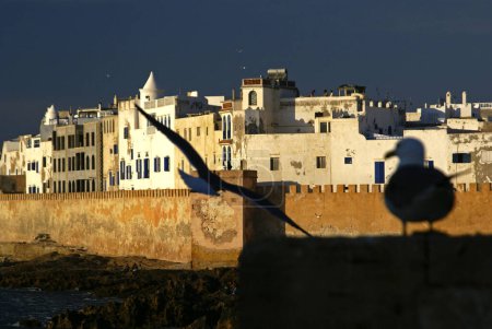 Téléchargez les photos : Skala de la casbah vista desde la Skala del puerto.Essaouira (mogador). Costa Atlantica. Marruecos. Magreb. Afrique. - en image libre de droit