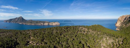 Cala En Basset pinède et îlot Dragonera, Andratx, Majorque, Îles Baléares, Espagne