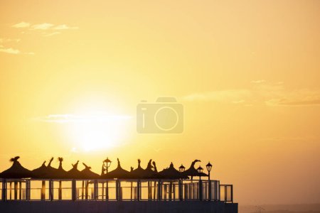 Foto de Sombrillas en el hotel Marques, Es Coto playa, Mallorca, Islas Baleares, España - Imagen libre de derechos