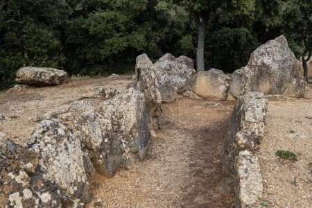 Photo for Dolmen de Los Llanos, Neolithic, Kripan, Alava, Basque Country, Spain - Royalty Free Image
