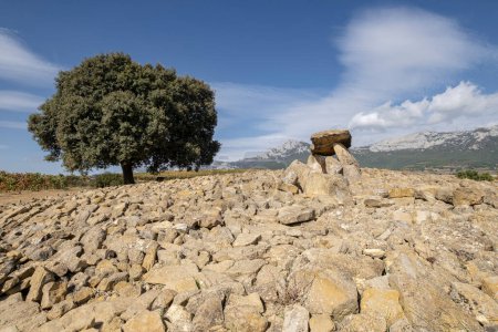 Foto de Dolmen Chabola de la Hechicera, neolítico, Elvillar, Álava, País Vasco, España - Imagen libre de derechos