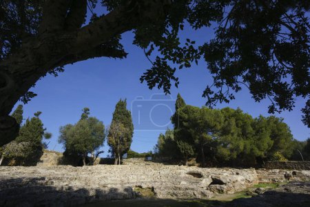 Foto de Theather, ciudad romana de Pollentia, época republicana, 123 A.C., fundada por Quintus Caecilius Metellus, Alcudia, Mallorca, islas Baleares, España - Imagen libre de derechos