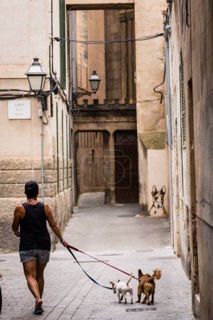 Foto de Carrer Estret de Sant Jaume, callejon del centro historico, Palma, Mallorca, islas baleáricas, España, Europa - Imagen libre de derechos