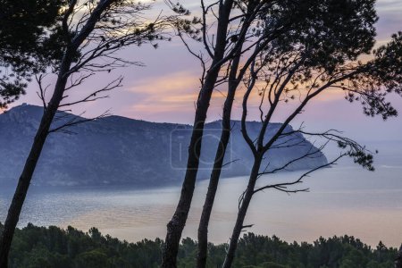 Téléchargez les photos : Cabo Norfeu, Parque Natural del cabo de Creus, Gérone, Catalogne, Espagne - en image libre de droit