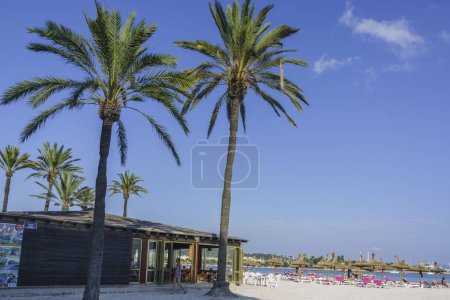 Foto de Playa de Alcudia, islas baleares, España - Imagen libre de derechos
