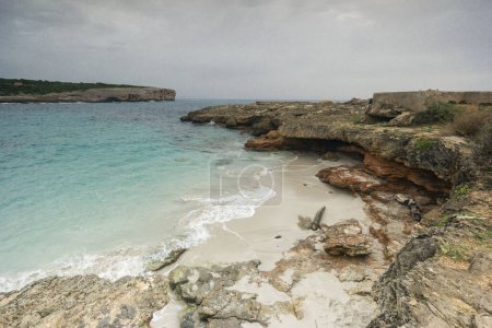 Foto de Shag (Phalacrocorax aristotelis) SAlgar, Porto Colom.Felanitx.Mallorca. Islas Baleares. España. - Imagen libre de derechos